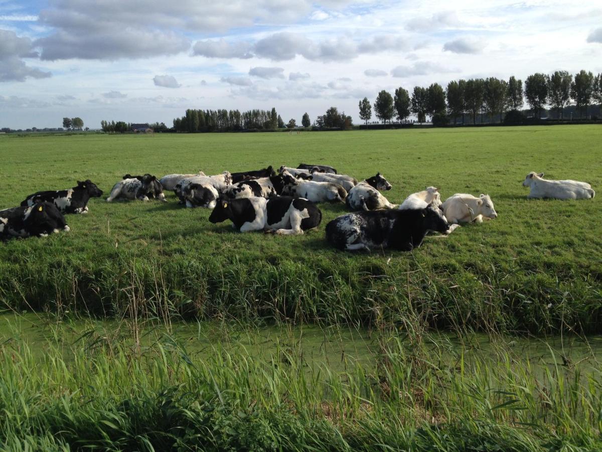 Benb Voorneputten Simonshaven Exterior foto